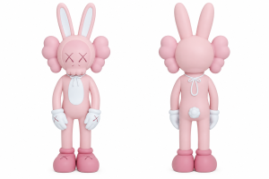 KAWS — ACCOMPLICE — PINK